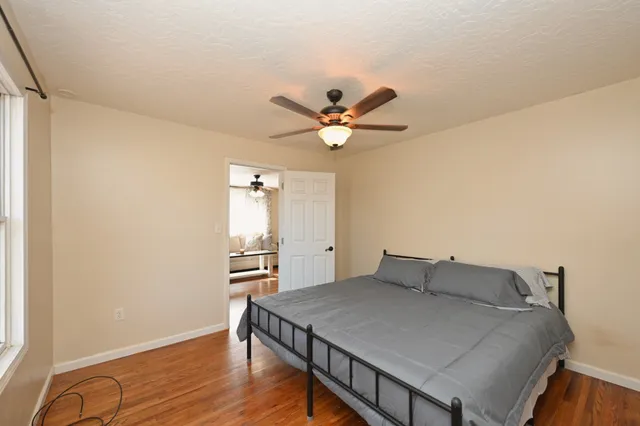 a view of a dry yard with trees