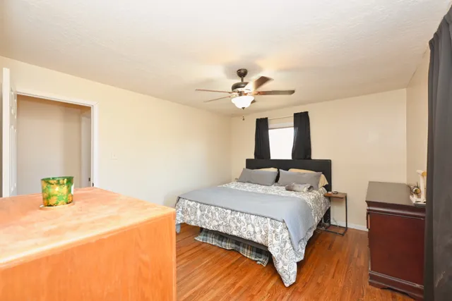 a view of a dry yard with trees in the background