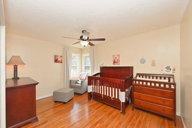 a view of yard with tree