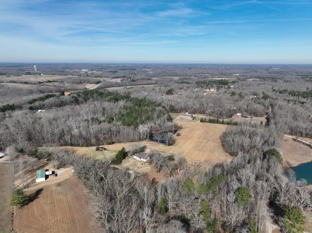 a view of a forest with trees in front of it