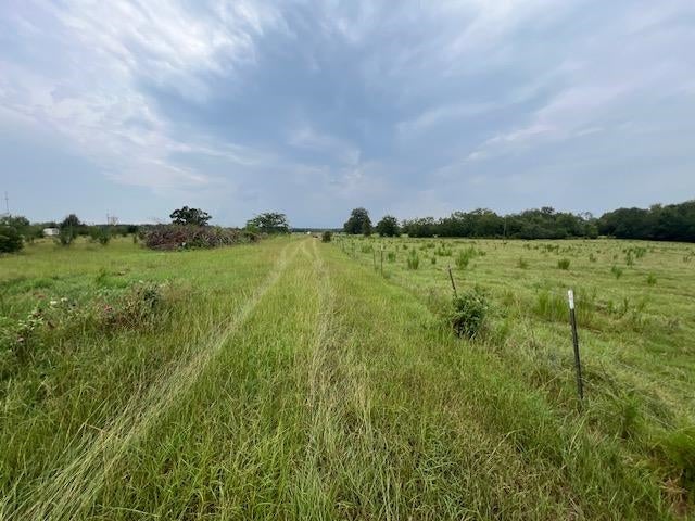 1000 Honeysuckle Road Samson, AL 36477 - Photo 27 of 50 Gallery Image 27