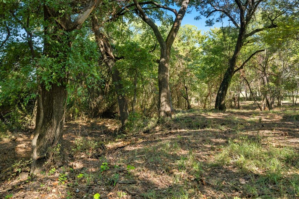 104 Candis Court Springtown, TX 76082 - Photo 33 of 40 a view of outdoor space with lots of green space