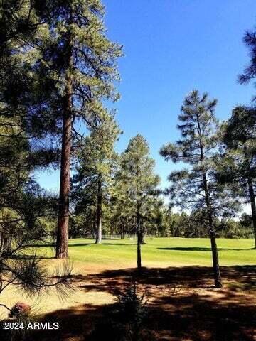 5038 Sweeping Vista Drive Pinetop, AZ 85935 - Photo 21 of 25 20210914231852140940000000-o