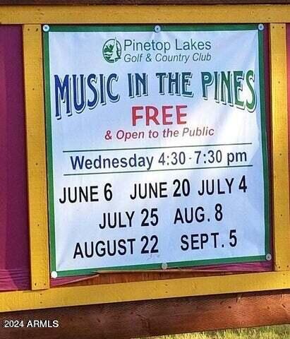 5038 Sweeping Vista Drive Pinetop, AZ 85935 - Photo 22 of 25 20210914231859263756000000-o