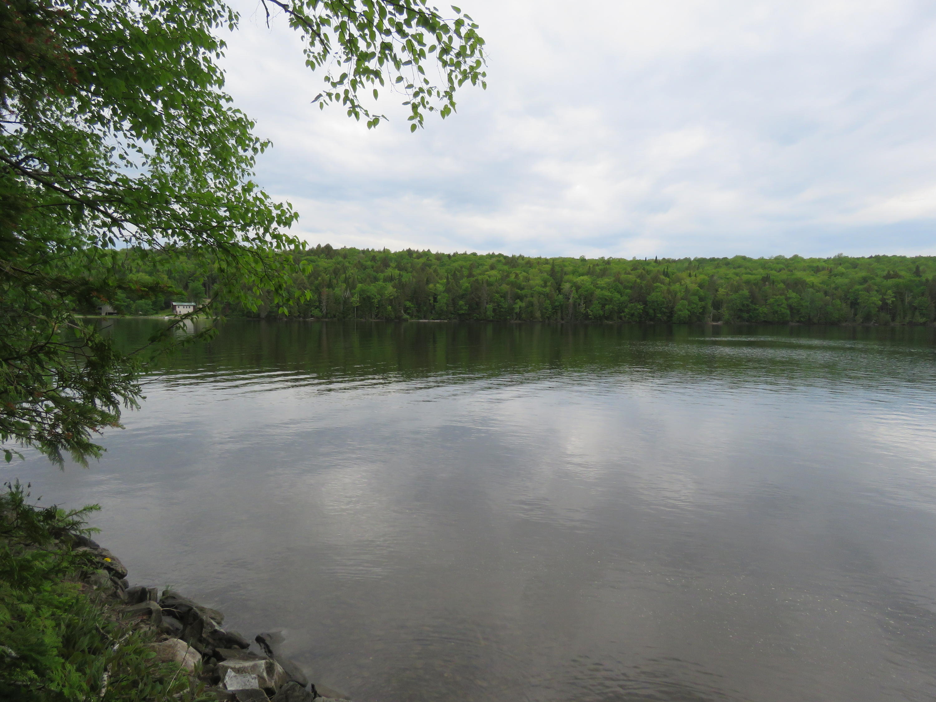 1087 South Shore Road Stockholm, ME 04783 - Photo 9 of 16 IMG_6102