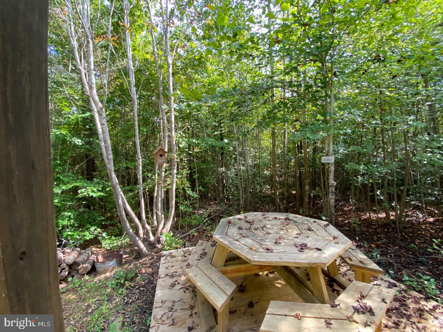 684 Squirrel Hollow Road Alberta, VA 23821 - Photo 15 of 43 Secluded picnic spot in lush greenery.