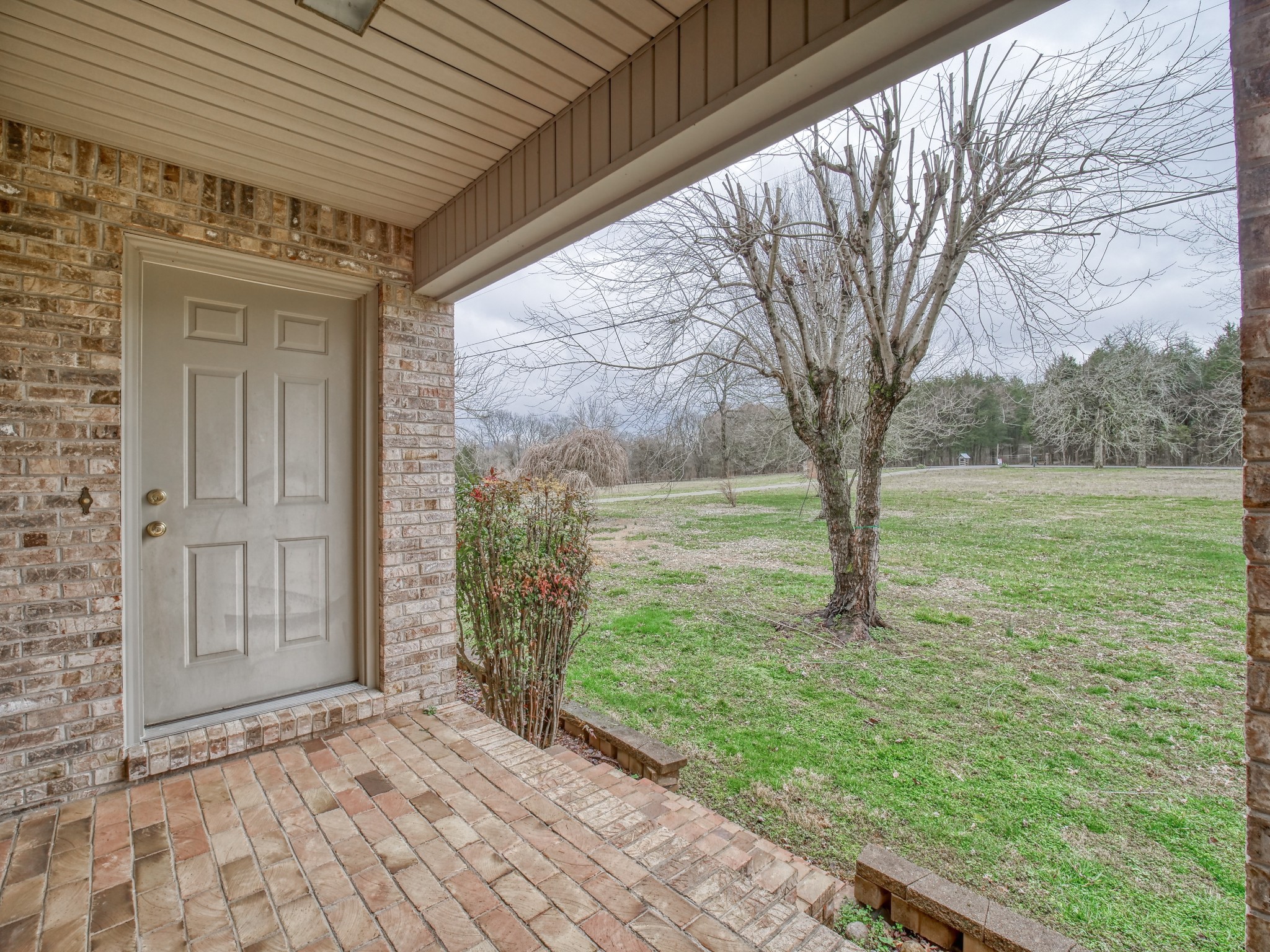 5149 Beech Log Road Lebanon, TN 37090 - Photo 11 of 44 a view of backyard with green space