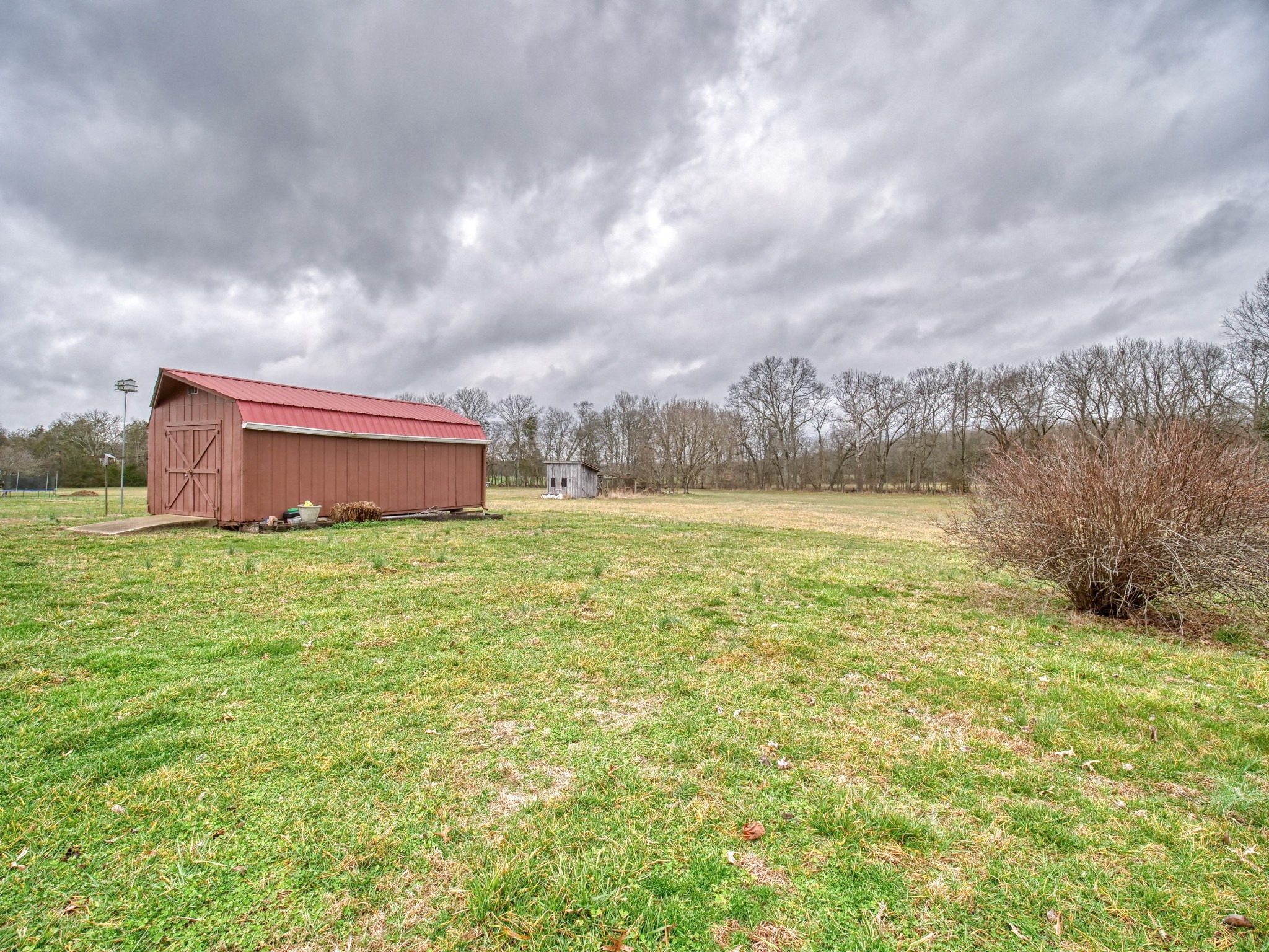 5149 Beech Log Road Lebanon, TN 37090 - Photo 38 of 44 a view of a big room with a big yard and large trees