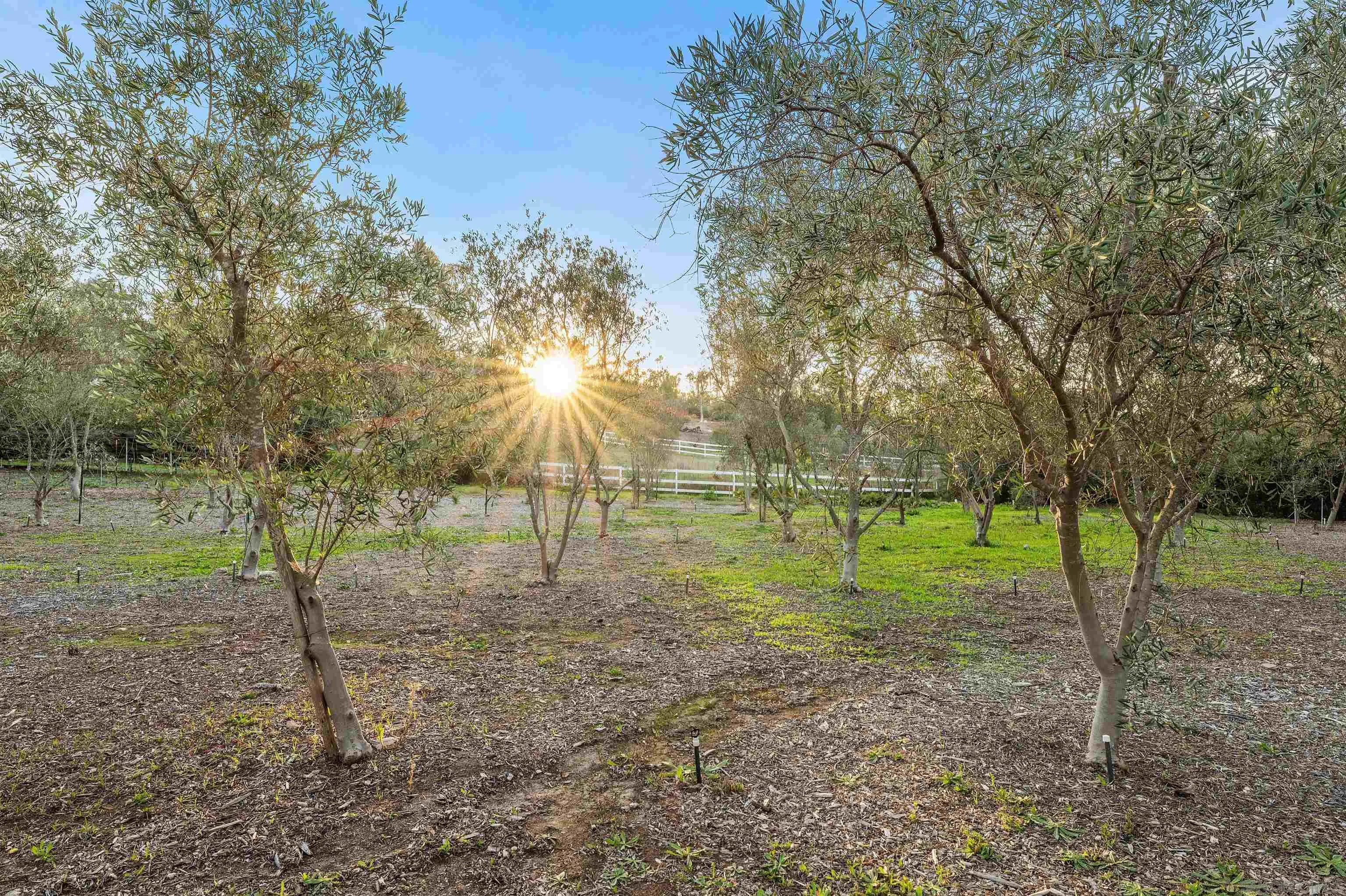 6870 La Valle Plateada Rancho Santa Fe, CA 92067 - Photo 32 of 37 a view of a park