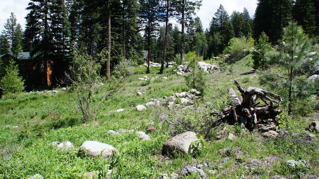 1250 Aspen Ridge Lane, Unit 112 McCall, ID 83638 - Photo 3 of 5