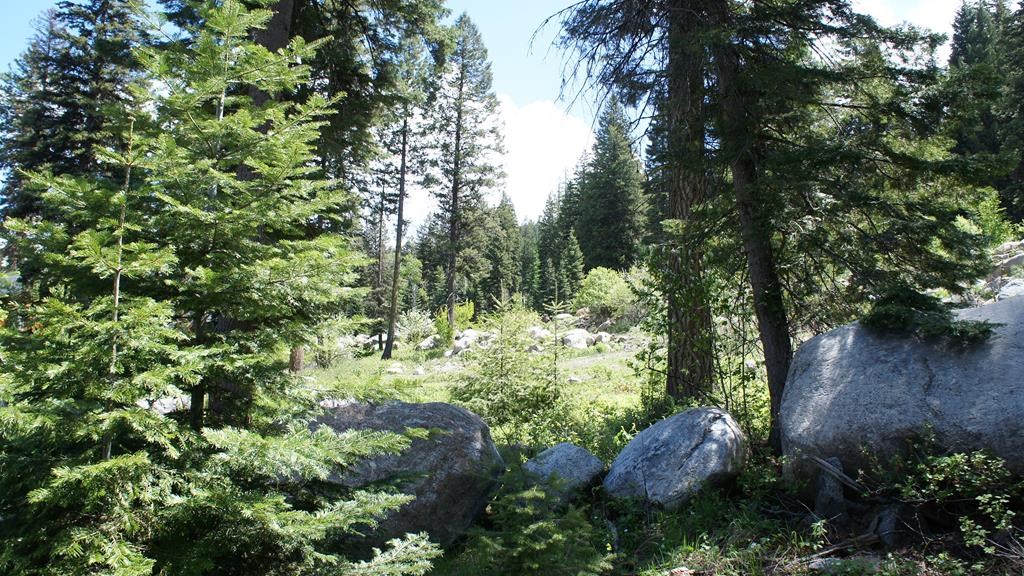 1250 Aspen Ridge Lane, Unit 112 McCall, ID 83638 - Photo 5 of 5