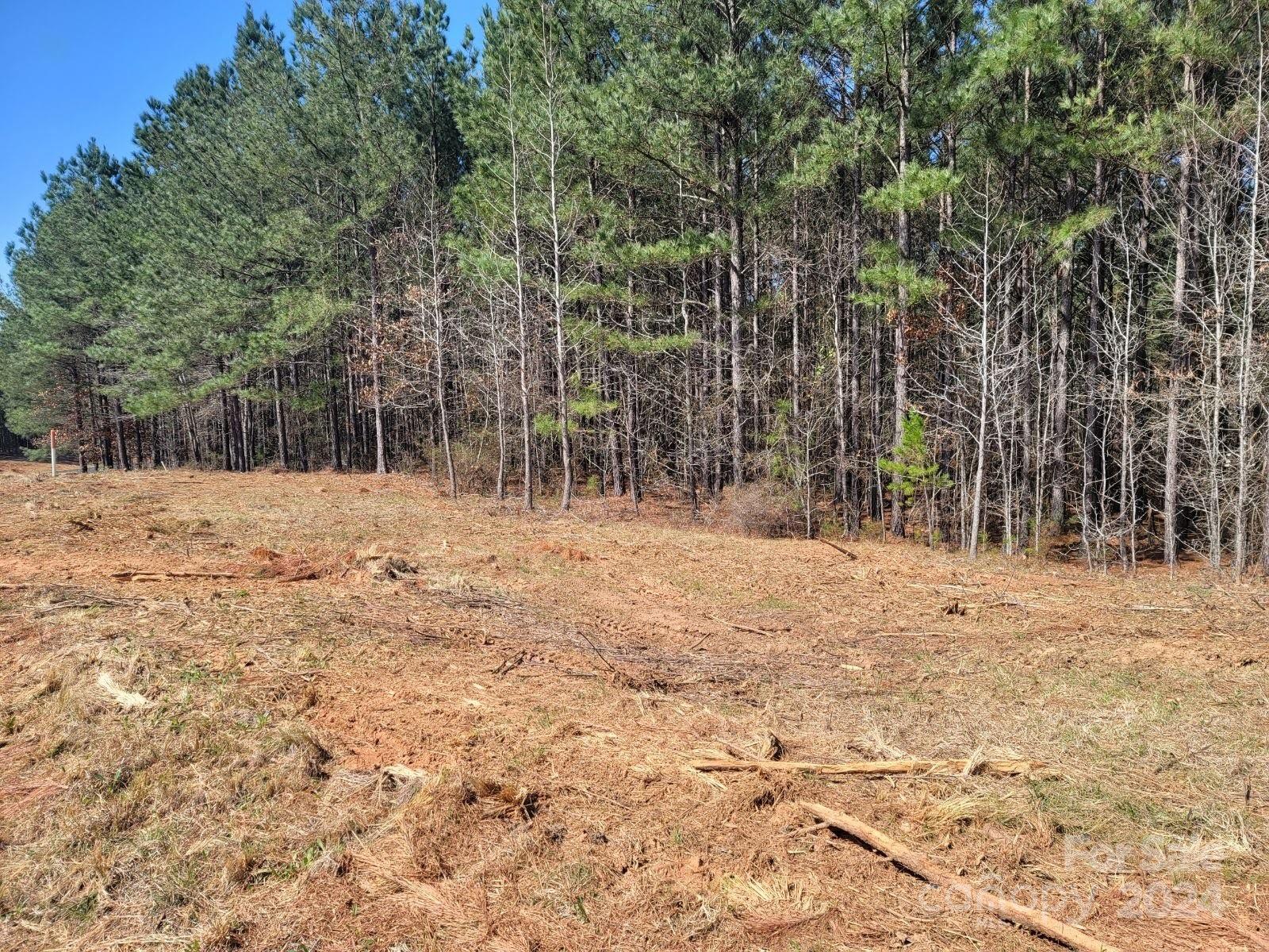 0 Waterside Point, Unit 47 Abbeville, SC 29620 - Photo 5 of 5