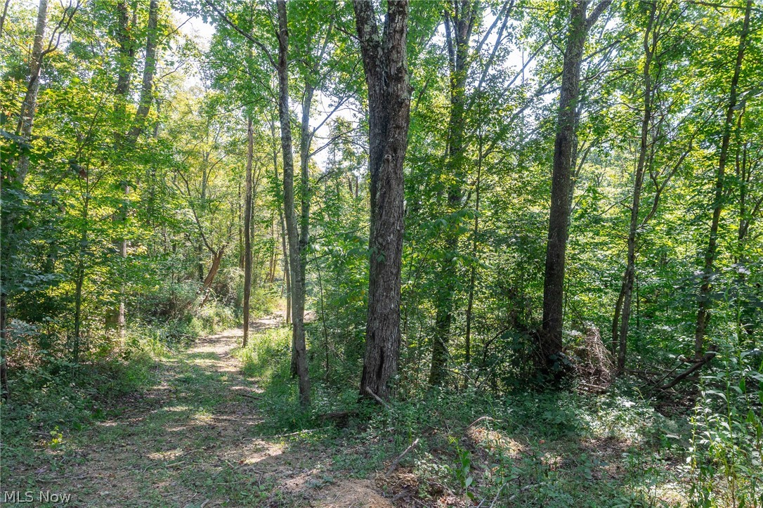 0 3 County Road Glouster, OH 45732 - Photo 11 of 20 Gallery Image 11