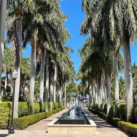 a view of a park with palm trees
