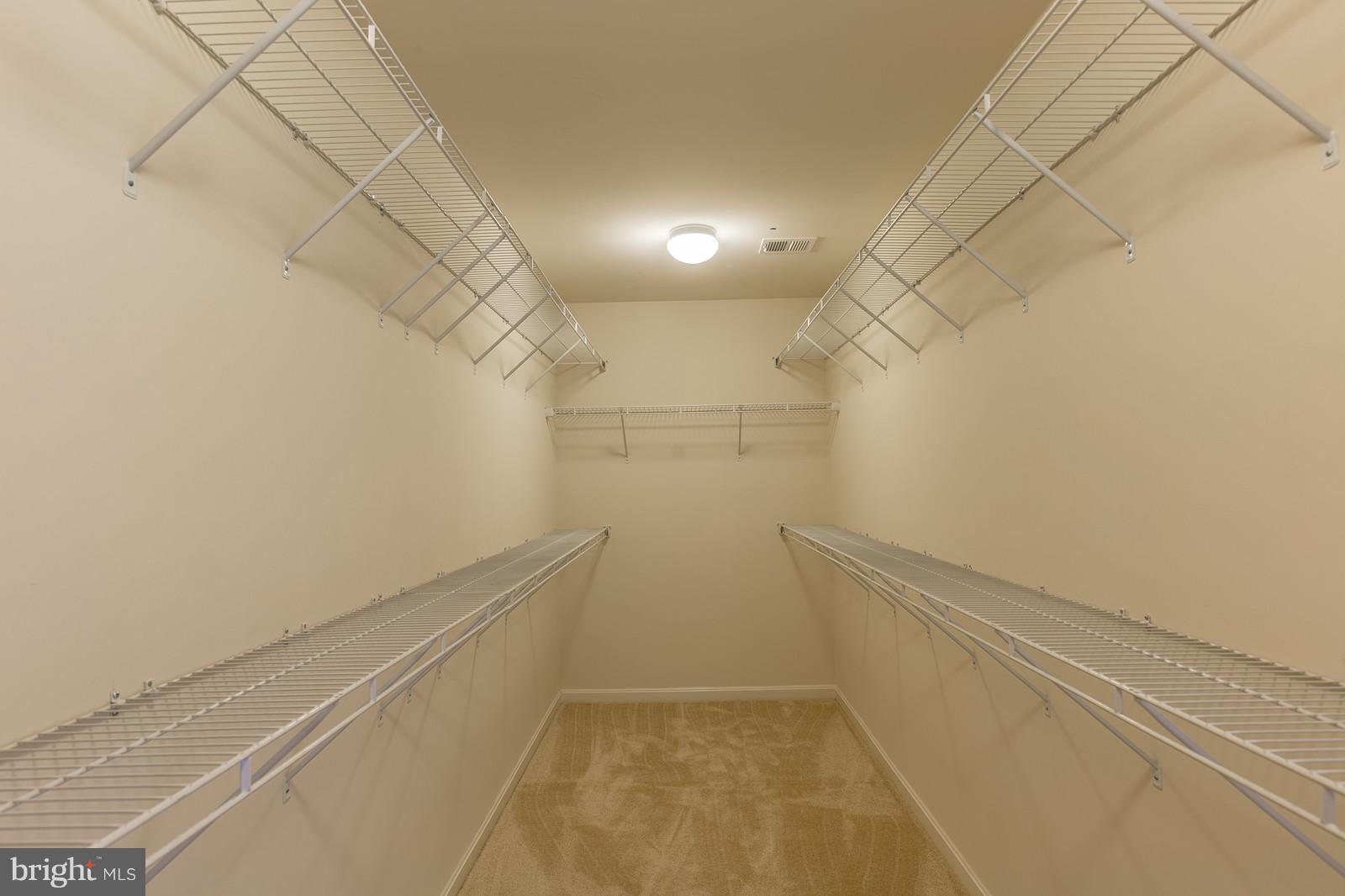 9104 Ribbon Falls Loop Bristow, VA 20136 - Photo 14 of 26 Large Walk In Closet