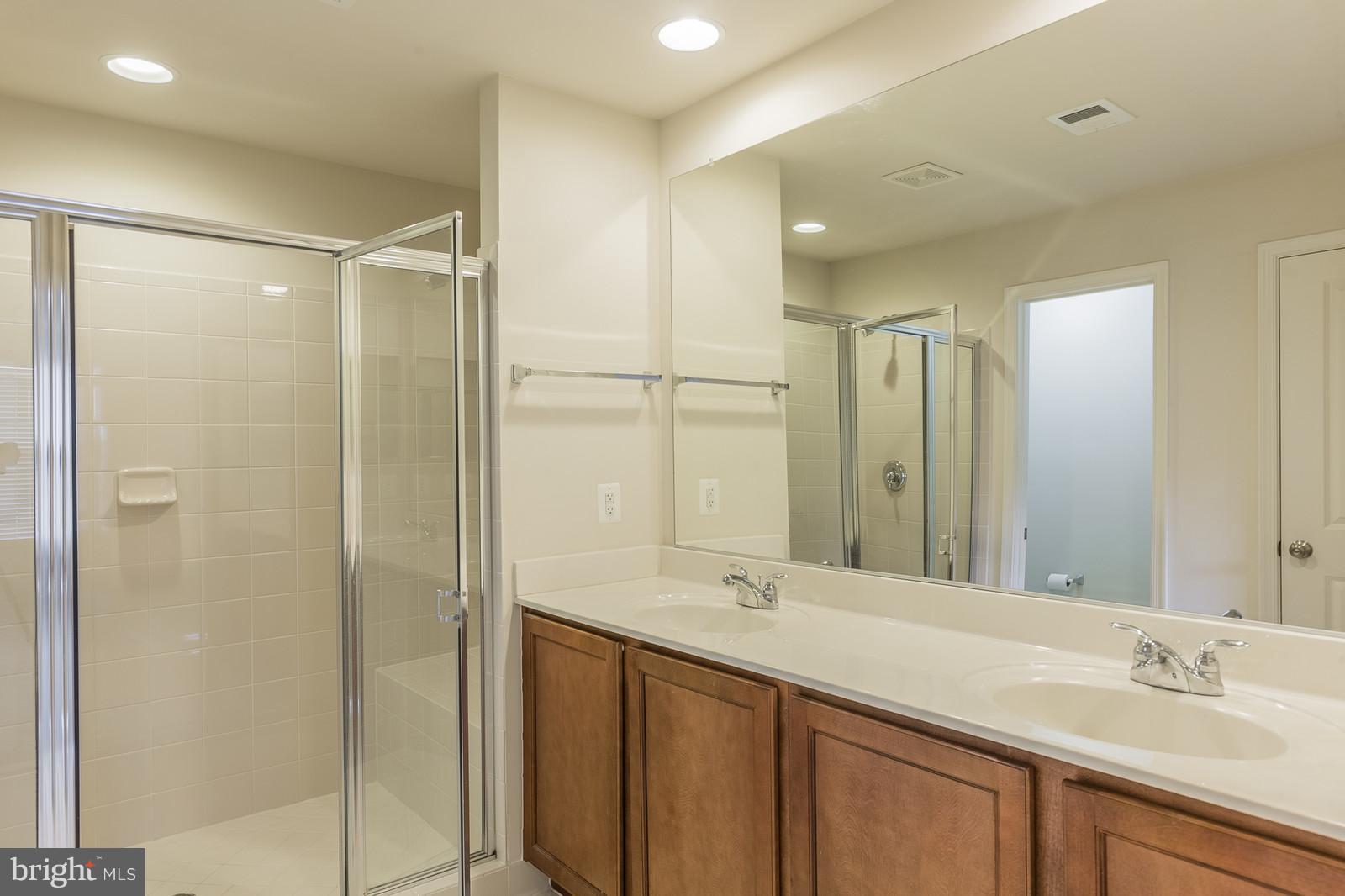 9104 Ribbon Falls Loop Bristow, VA 20136 - Photo 15 of 26 Bath (Master) Walk in Shower