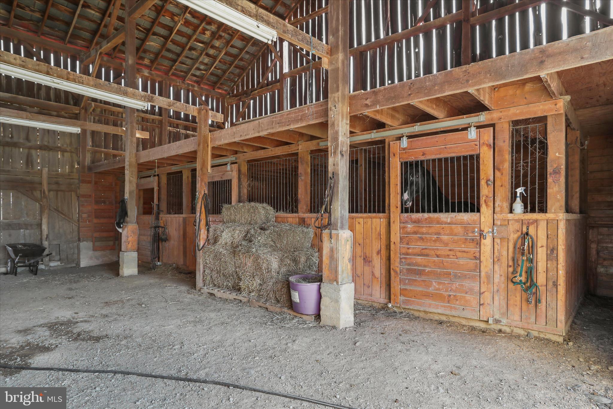 1344 Old Winchester Road Boyce, VA 22620 - Photo 19 of 52 3 stalls in barn