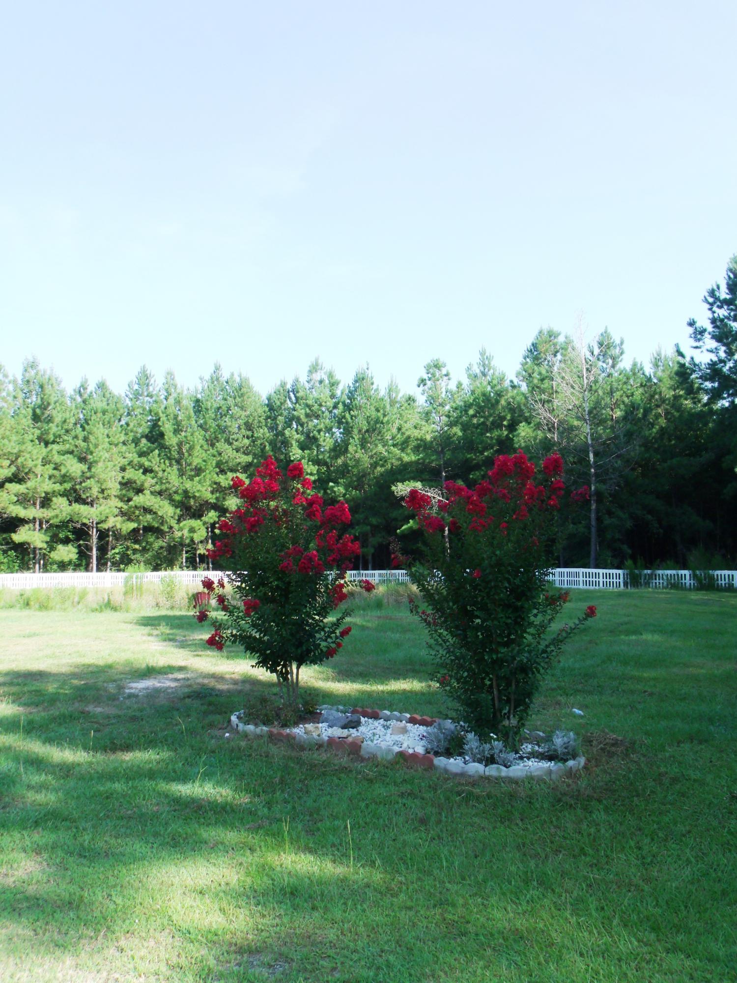 275 Rough Court Cottageville, SC 29435 - Photo 20 of 29 20