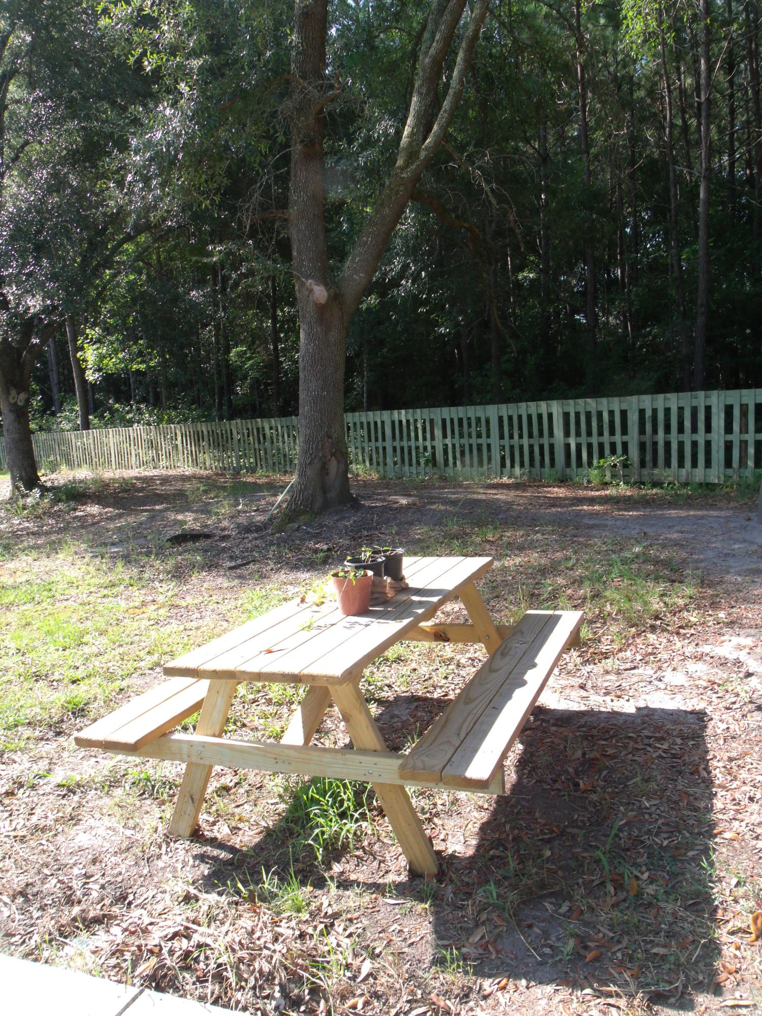 275 Rough Court Cottageville, SC 29435 - Photo 24 of 29 24