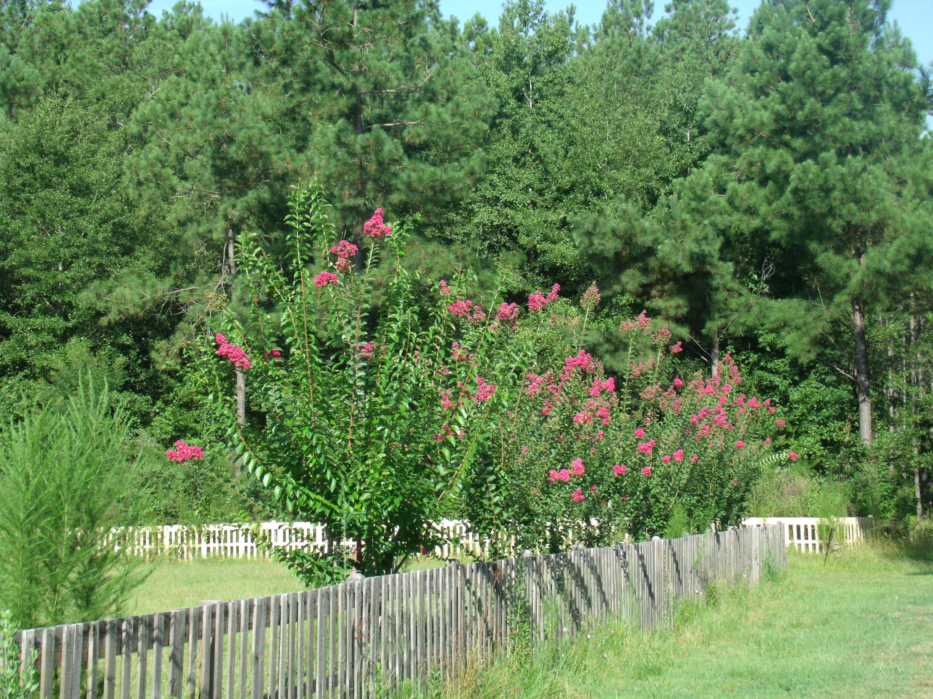 275 Rough Court Cottageville, SC 29435 - Photo 26 of 29 26