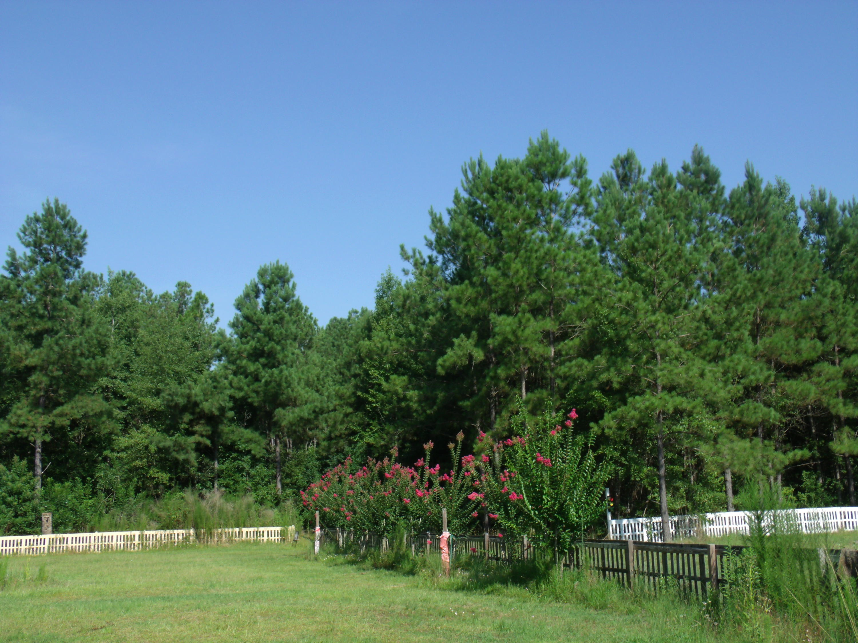 275 Rough Court Cottageville, SC 29435 - Photo 27 of 29 27