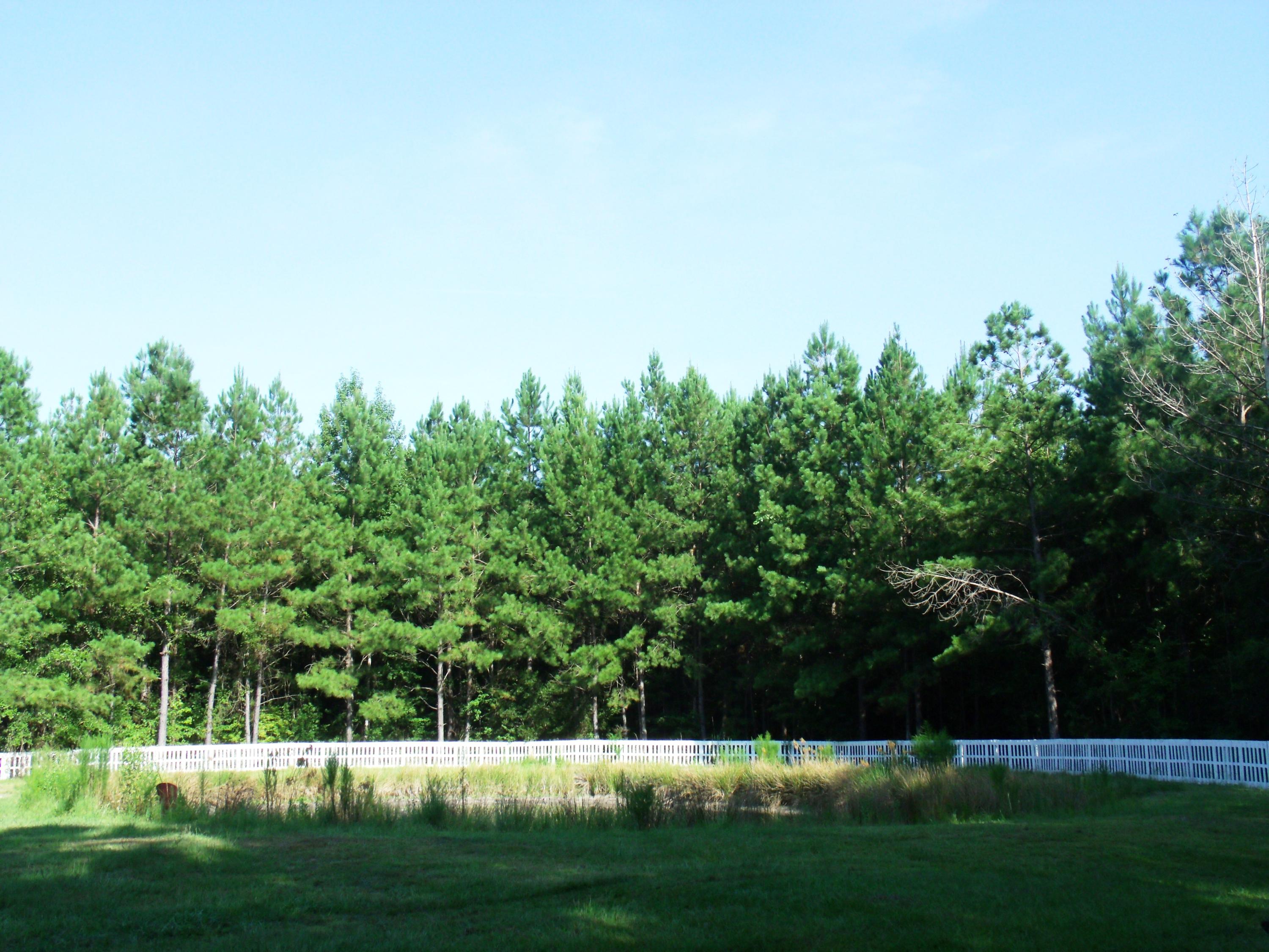 275 Rough Court Cottageville, SC 29435 - Photo 28 of 29 28