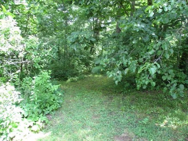 $2,000 | 597 Knollwood Road, Lake Summerset, IL 61019