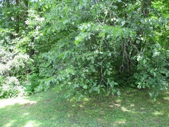 $2,000 | 597 Knollwood Road, Lake Summerset, IL 61019