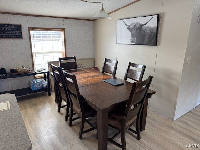 24 Hillview Road Danby, NY 14883 - Photo 11 of 24