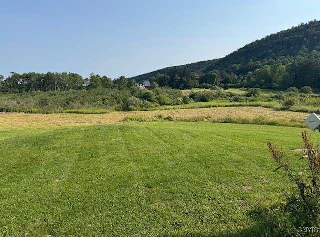 24 Hillview Road Danby, NY 14883 - Photo 14 of 18