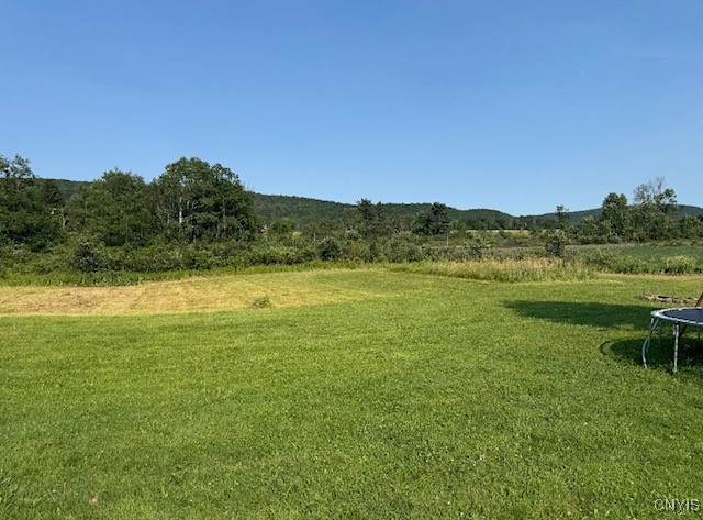 24 Hillview Road Danby, NY 14883 - Photo 15 of 18