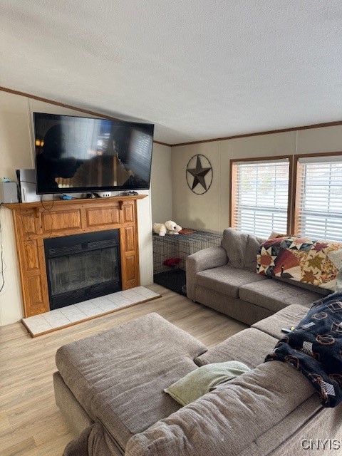 24 Hillview Road Danby, NY 14883 - Photo 2 of 24