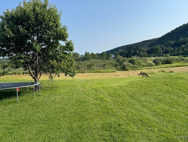 24 Hillview Road Danby, NY 14883 - Photo 22 of 24