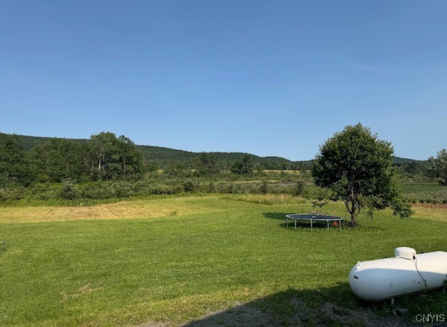 24 Hillview Road Danby, NY 14883 - Photo 23 of 24