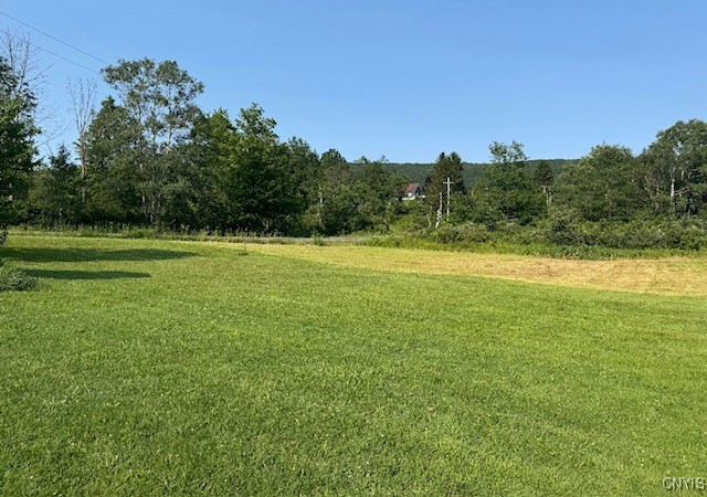 24 Hillview Road Danby, NY 14883 - Photo 24 of 24