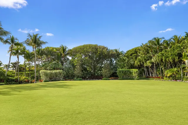 a view of a swimming pool with a yard and palm trees