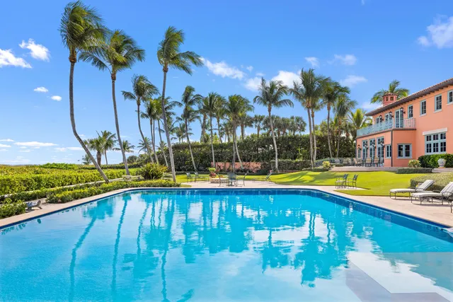 a view of swimming pool with chairs and palm tree