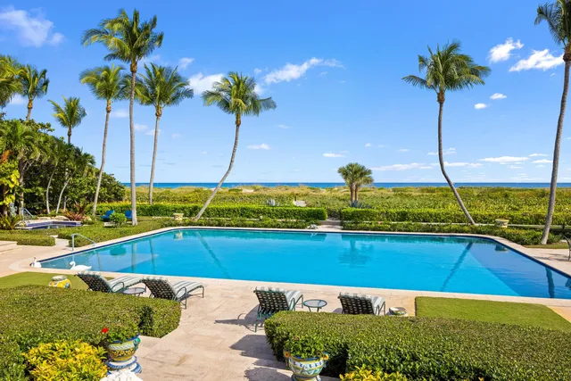 a view of a swimming pool with a table and chairs potted plants
