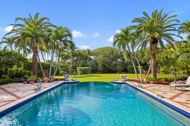 a view of swimming pool with palm trees