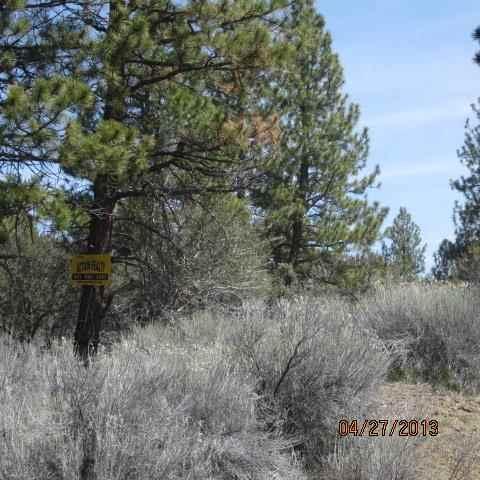 0 Yainax Beatty, OR 97621 - Photo 1 of 1 Primary Photo