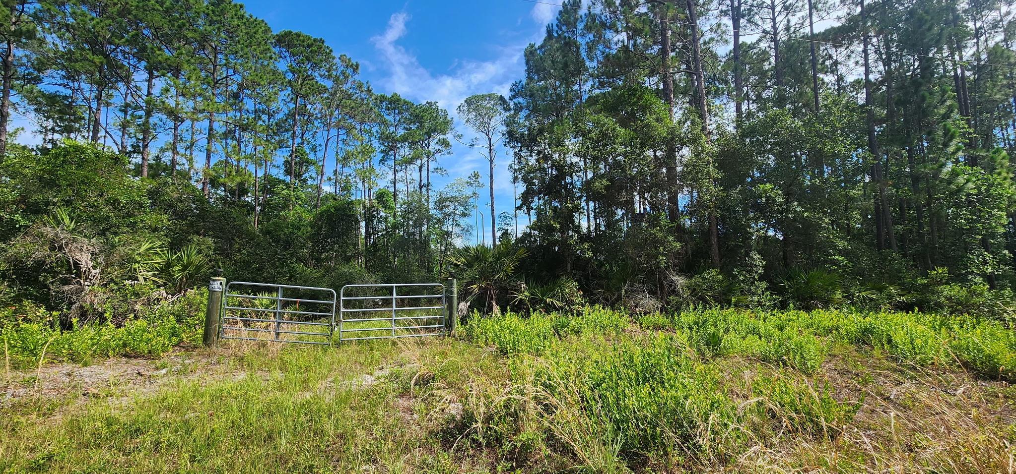 160 Edgemere Drive Georgetown, FL 32139 - Photo 3 of 12