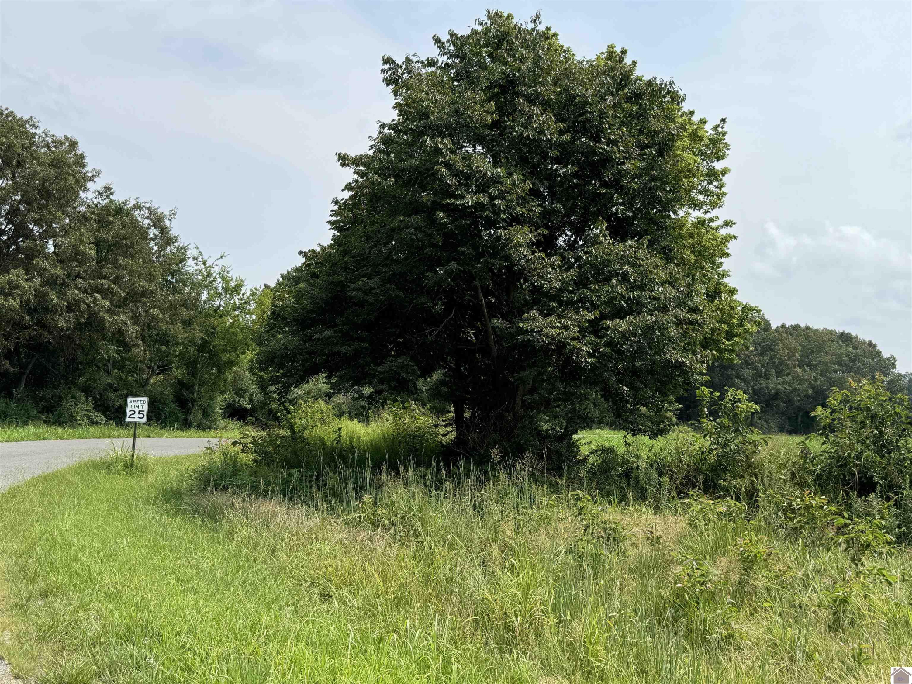 0 Spur & Hitte Road Benton, KY 42025 - Photo 5 of 13 Photo 5