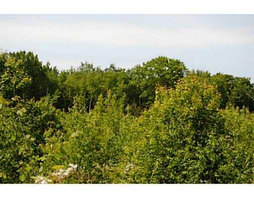 Lot 3 Pound Hill Road Northport, ME 04849 - Photo 4 of 6 Land/Lot.