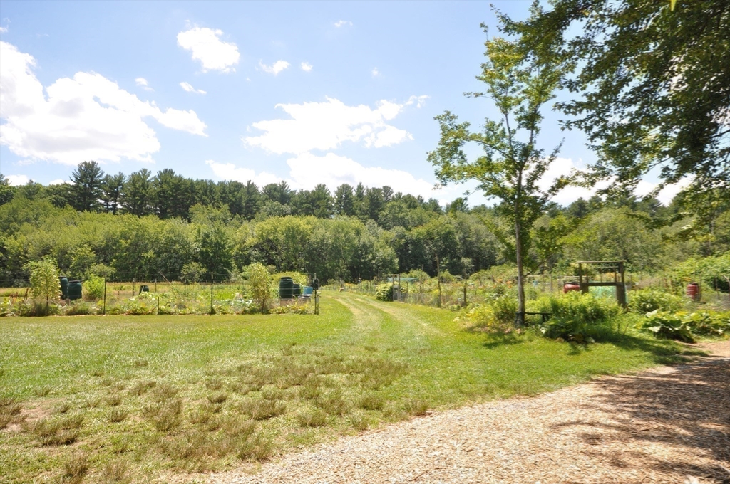 136 Holden Wood Road Concord, MA 01742 - Photo 26 of 31 a view of a yard with large trees