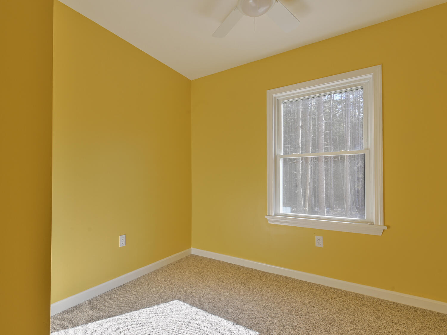 40 True Lane Tremont, ME 04612 - Photo 24 of 32 Bedroom 2