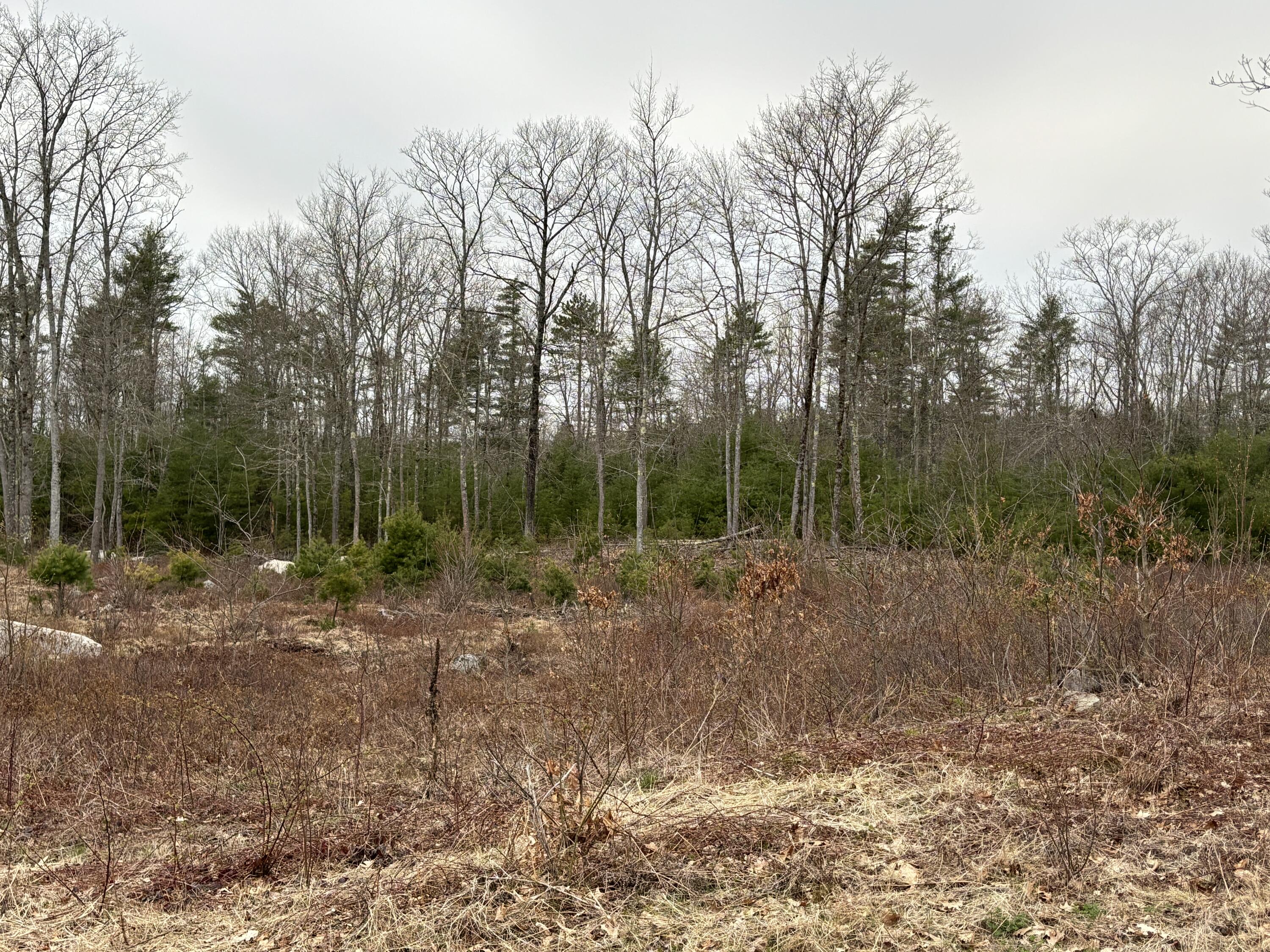 Lot 4 Webber Ridge Ln Wells Wells, ME 04090 - Photo 10 of 32 IMG_1885