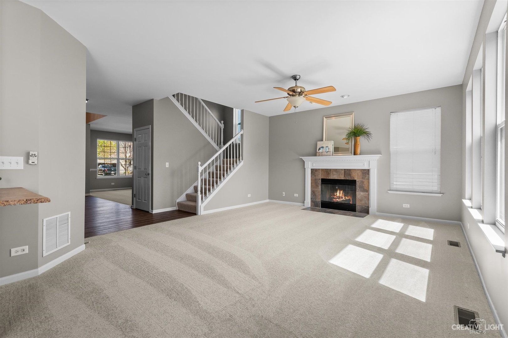321 Cassidy Lane Elgin, IL 60124 - Photo 9 of 31