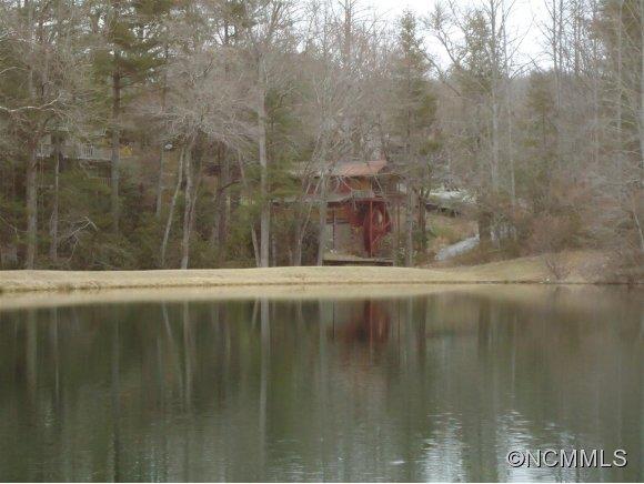 Lot 1 Spring Road, Unit LOT 1 Hendersonville, NC 28739 - Photo 5 of 12 a view of swimming pool and window