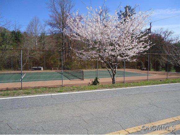Lot 1 Spring Road, Unit LOT 1 Hendersonville, NC 28739 - Photo 7 of 12 a view of park with small plants and large trees