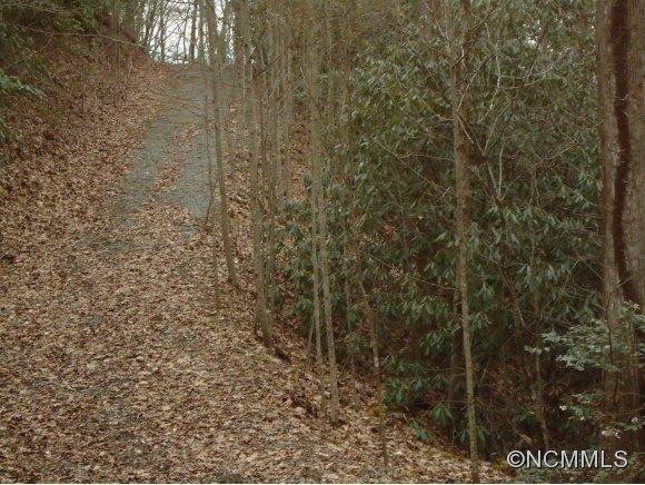 Lot 1 Spring Road, Unit LOT 1 Hendersonville, NC 28739 - Photo 8 of 12